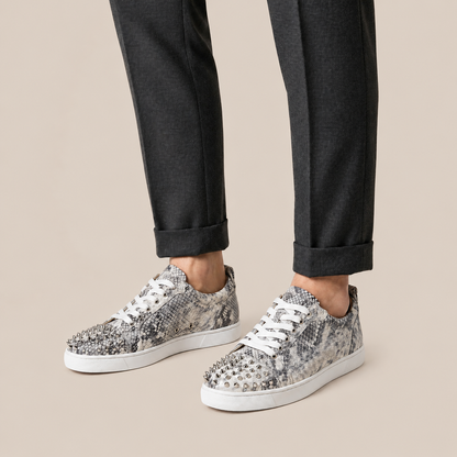 SPIKE PYTHON
